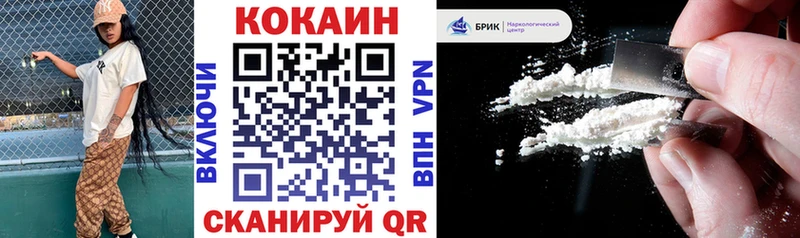 где продают   Дигора  COCAIN Fish Scale 