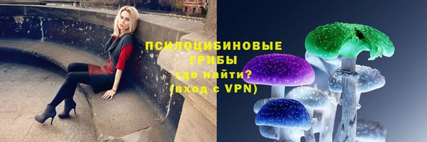 mdpv Богородск