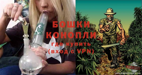 твердый Дмитров