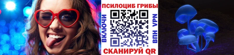 Галлюциногенные грибы Psilocybe  Дигора 
