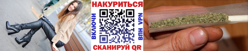 kraken как войти  наркошоп  Дигора  Бошки марихуана Ganja 